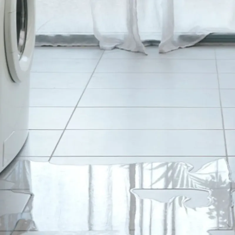 Appliance Leak Cleanup in Berwyn, IL