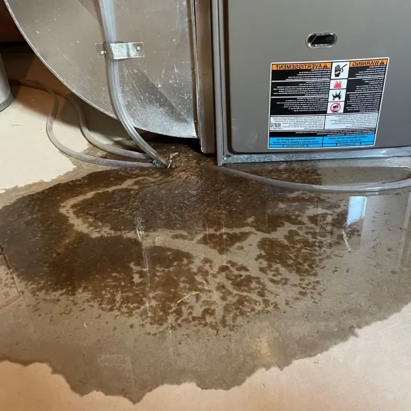 Pipe Burst and Leak Restoration in Berwyn, IL